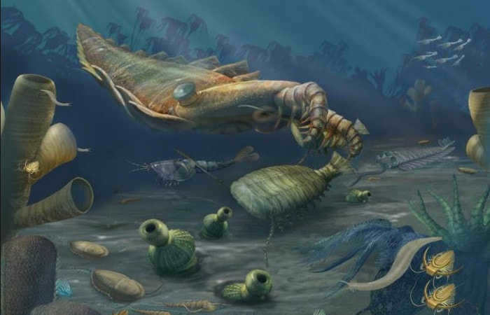 Proterozoic Era