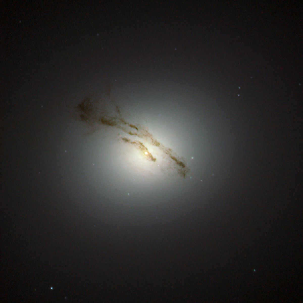 Virgo zodiacal constellation: location and astronomical objects