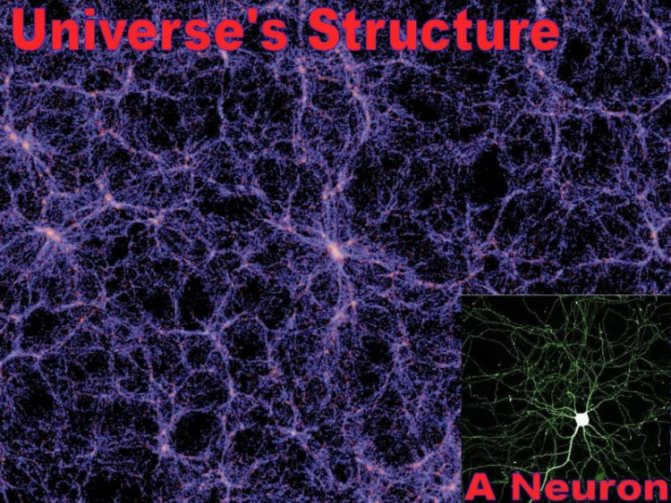 The Universe and the brain