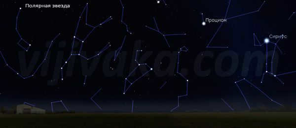 Polaris and Sirius in the starry sky.